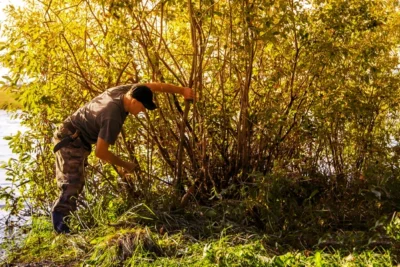 cortar arbol con machete