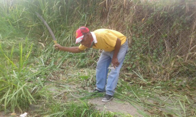 cortar monte con machete