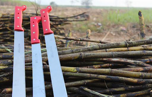 machete uso agricola