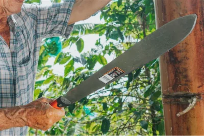 Antes de la Mecanizacion El Machete como Simbolo del Trabajo de Campo