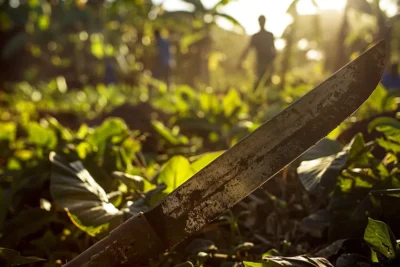 Machetes y Agricultura Sostenible ¿Que Herramienta Elegir