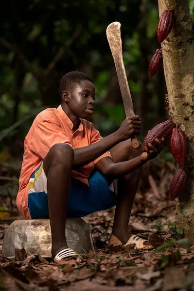 Machetes y Cultura Tradiciones Agricolas en Diferentes Partes del Mundo