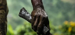 El Machete Como Simbolo de Resiliencia en la Agricultura Rural