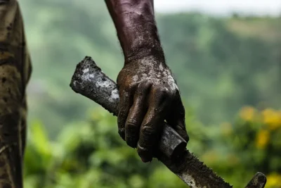 El Machete Como Simbolo de Resiliencia en la Agricultura Rural