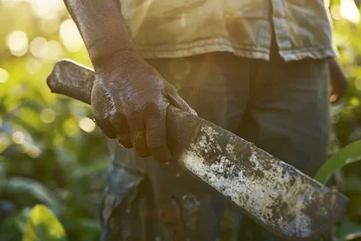 El Machete como Simbolo de Cultura y Trabajo en el Campo