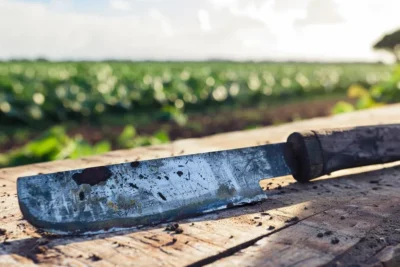 Historia y Evolucion del Machete en la Agricultura Mundial